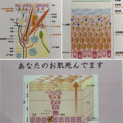 863716AA-3A68-4D36-A9A2-0D6E81AB765C.jpeg